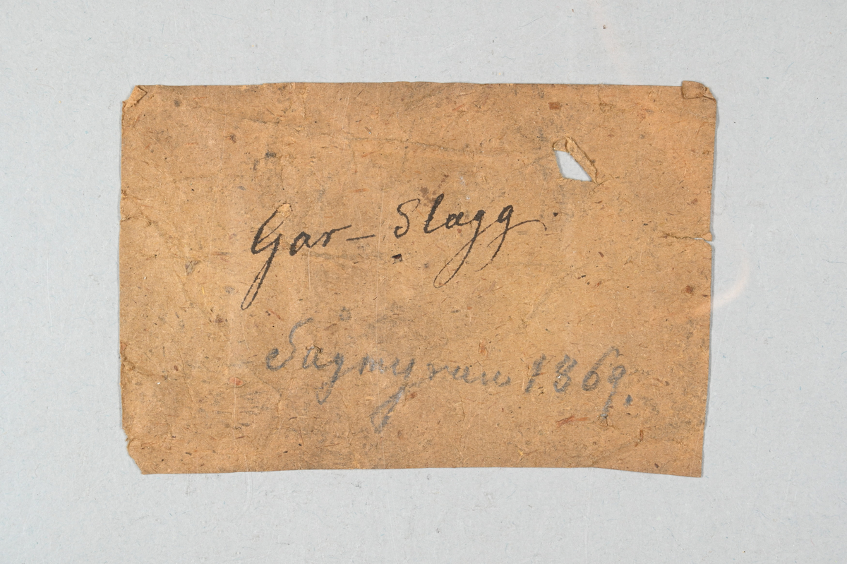 Två prover av garslagg, svart, grå, brun och rödaktiga. Tillhörande lapp med notering: "Gar-slagg, Sågmyran 1869.".