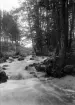 Tinnerbäckens flöde söder om Linköping var ett populärt och återkommande motiv för Linköpingsfotograf Didrik von Essen. Motiven blev även förlagor för hans parallella måleri. Foto omkring 1900.