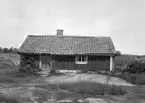 Fiastugan med dess solbelysta fasad mot söder. Ryggåsstuga i fiskeläget Björkskär i Gryts skärgård. Foto 1949.