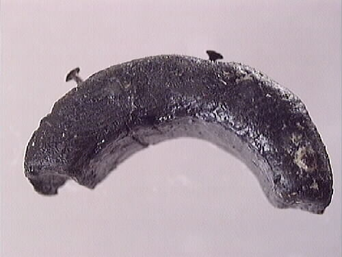 Del av ring i furu. Trasig.