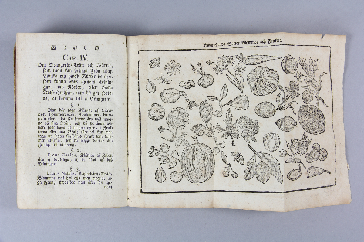 Bok, pappersband med sparsamt guldornerad rygg och svart titeletikett i glättat papp. Innehåller planscher föreställande träd med respektive skördar frukt. Andra planscher avbildar olika växter, den ena tillsammans med två planscher med allegorier av årstiderna hösten och våren som fram alstrar blommor, några av de minsta innevånarna i trädgården. På sidorna 110-146 återfinns ett "månads-memorial" för årets tolv månader med instruktioner för den vanliga trädgården, köksträdgården och lustträdgården. Titelsida med texten: "Den swenska frö-samlaren, eller kårt underrättelse om allehanda trädgårds-fröns producerande under wårt swenska climat; trädgårdarnas tillstånd sedan 1740. Ett nytt planteringssätt med åtskillige sorter kärnstammar; några swenske och för hälsan tjenlige krydder, så wäl som några uplysningar, som befästa mitt förra werk, trädgårspraxis kallat m.m. Sammanskifwen och med hans Kongl. Maj:ts Allernådigaste. Privilegio utgifwen af Peter Lundberg, Directeur, Stockholm tryckt hos Lars Wennberg 1775."