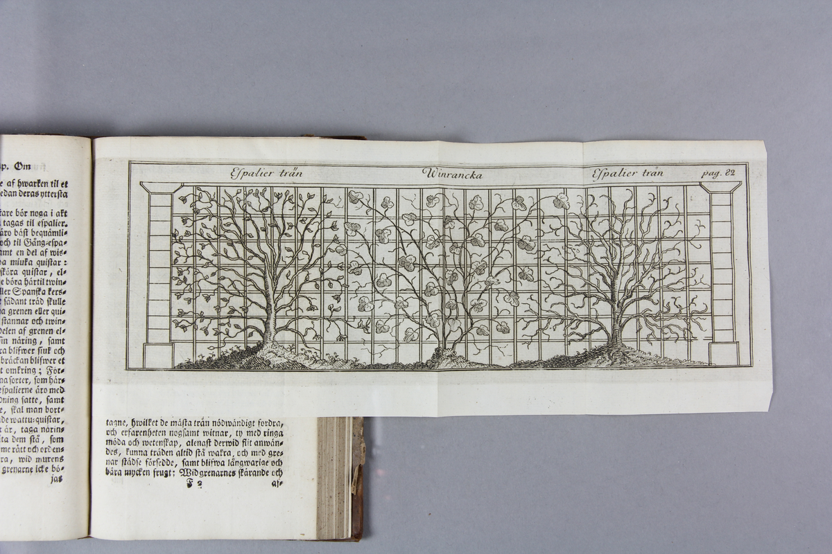 Bok med halvfranskt band med upphöjda bindninga, guldlinjerad rygg, titeletikett saknas.  Boken innehåller tio utvikbara graverade planscher. Tilläggen på slutet behandlar färgväxter, hur man planterar levande gärdsgårdare och en månadsvis uppställning av göromålen i en trädgård. Titelsida med texten: "Den rätta swenska trädgårds-praxis, eller kort underättelse huru köks-trä-örte och lustgårdar, tillika med orangerier samt humlegårdar, böra anläggas, skötas och conserveras. Sammanskrefwen, och med kongl. Maj;ts allernådigaste privilegio utgifwen. Hwarjemte följa trenne andra nödiga och nyttiga beskrifningar. Fjerde uplagan. Stockholm, Kongl. tryckeriet, 1780."