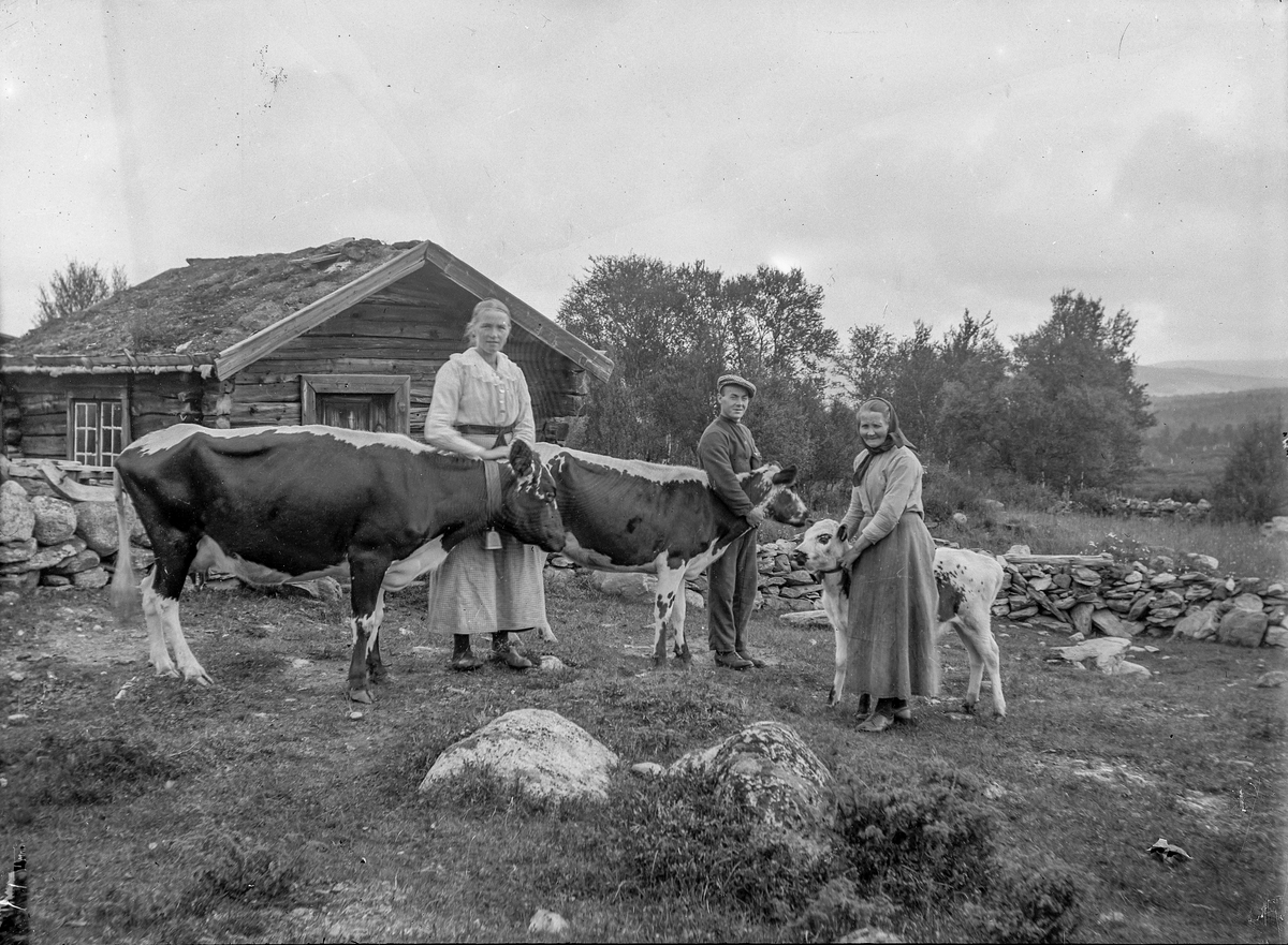 Tre personer med kyr foran et seterhus