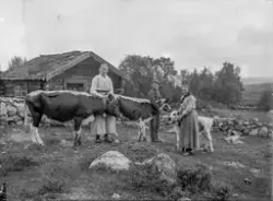 Tre personer med kyr foran et seterhus