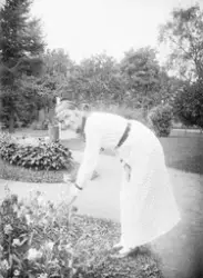 Dame ved blomsterbedd