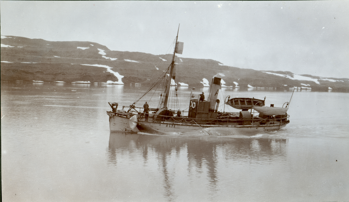 Hvalfangeren "Alfa" med fanget hval i Trygghamna. Telegrafverkets inspeksjonstur til Svalbard og Finneset i 1911. 
