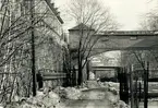 Rosenlundsgatan på vintern.