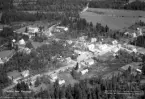 Vivljunga, 1953.