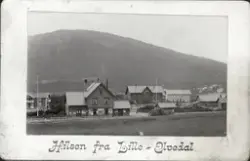 Utsikt over Steia med Alvdal jernbanestasjon