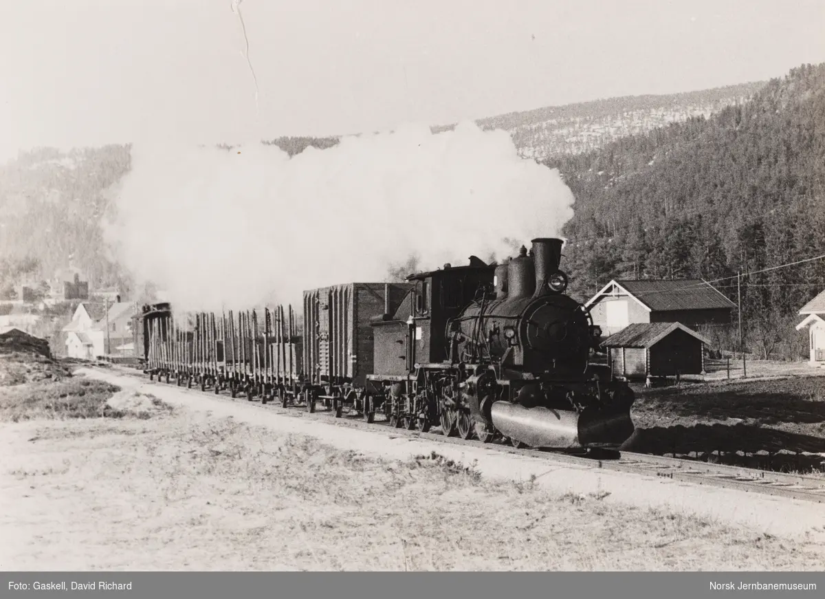 Damplokomotiv 21b 225 med godstog til Rødberg, tog 5397, ved Spiten holdeplass