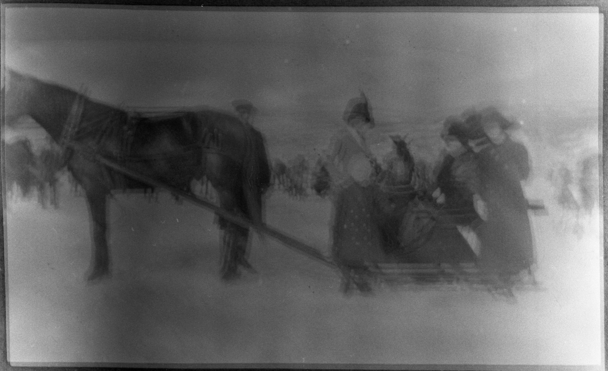 På travkjøring i Sundvika i Totenvika ca. 1913. Bak hesten står Jørgen Flesvik. Marioe Flesvik gift med dyrlege Simonsen på Lillehammer, og mora Mathilde Flesvik født Taralrud. Borgny Flesvik gift Svarstad. Barnet foran sluffa er trolig Hjørdis, datter til Mathilde og Jørgen. Hun døde ung.