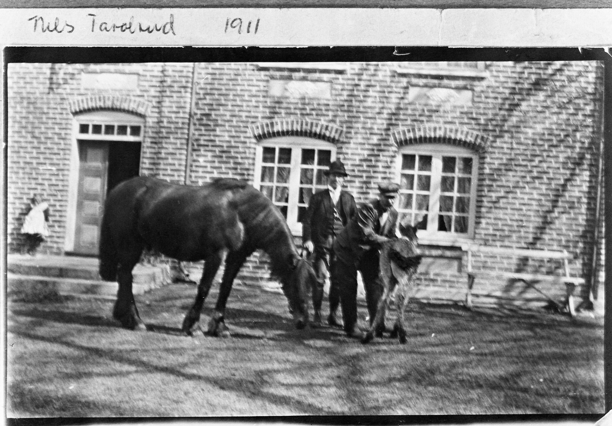 Marius Aarsby har tatt en søndagstur til Taralrud Nordre for å besøke Ole P. Fjørkenstad, og for å beundre det nye føllet og hoppa som trolig er merra Tinka. Borte ved inngangsdøra står Borghild Hattebøl, datter til Berte Hattebøl som i mange år stelte for "Moster-Taralrud" Dothe Helene Hammerestad.