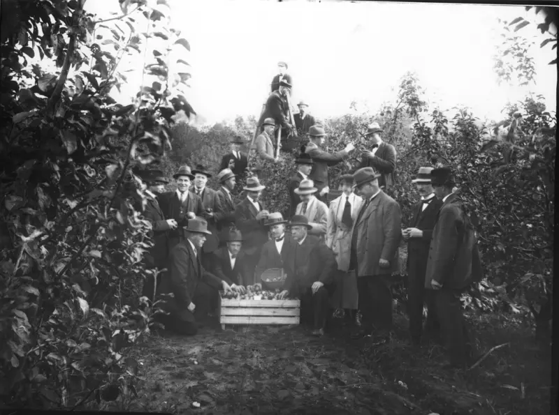 Tjänstemän och trädgårdsmästare kom ofta hem med överbliven frukt till sina nära och kära. Bilden är tagen cirka år 1925. Fotograf okänd. 