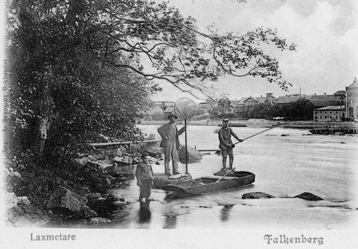 Brevkort, "Laxmetare. Falkenberg." Två män och en pojke vid Ätrans södra strand med metspö, håv och en laxeka. På andra sidan ån syns delar av Falkenberg.
(Bild 2 visar meddelandet, som skrevs på kortets framsida fram till 1905, och bild 3 bildens toning)