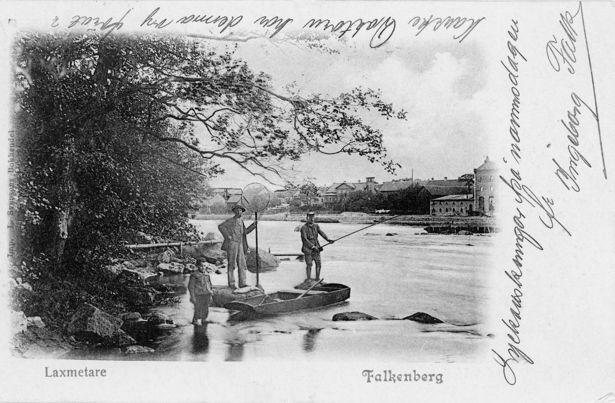 Brevkort, "Laxmetare. Falkenberg." Två män och en pojke vid Ätrans södra strand med metspö, håv och en laxeka. På andra sidan ån syns delar av Falkenberg.
(Bild 2 visar meddelandet, som skrevs på kortets framsida fram till 1905, och bild 3 bildens toning)