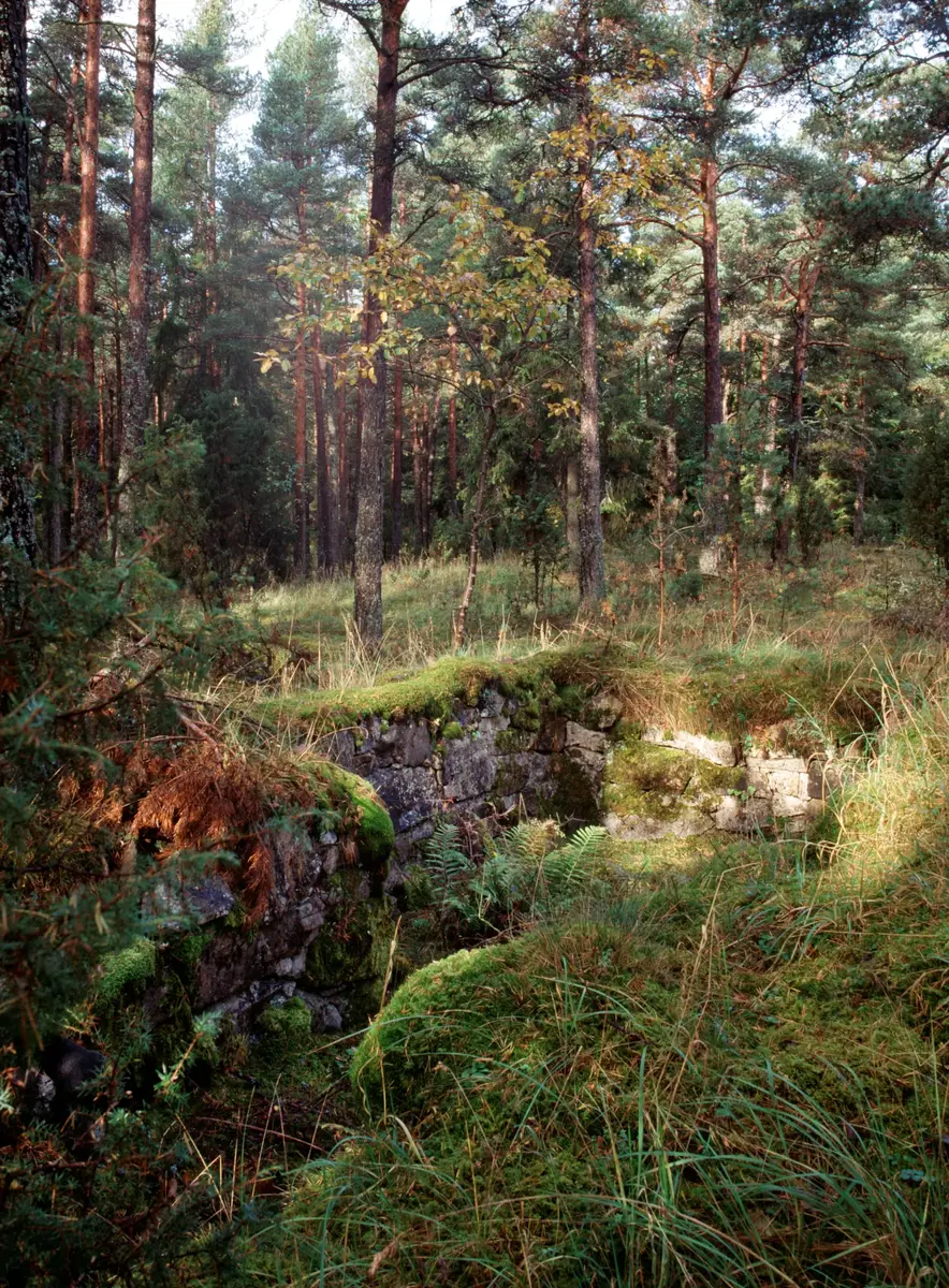 Spår av den äldsta gruvbrytningen i sydvästra delen av Utö.