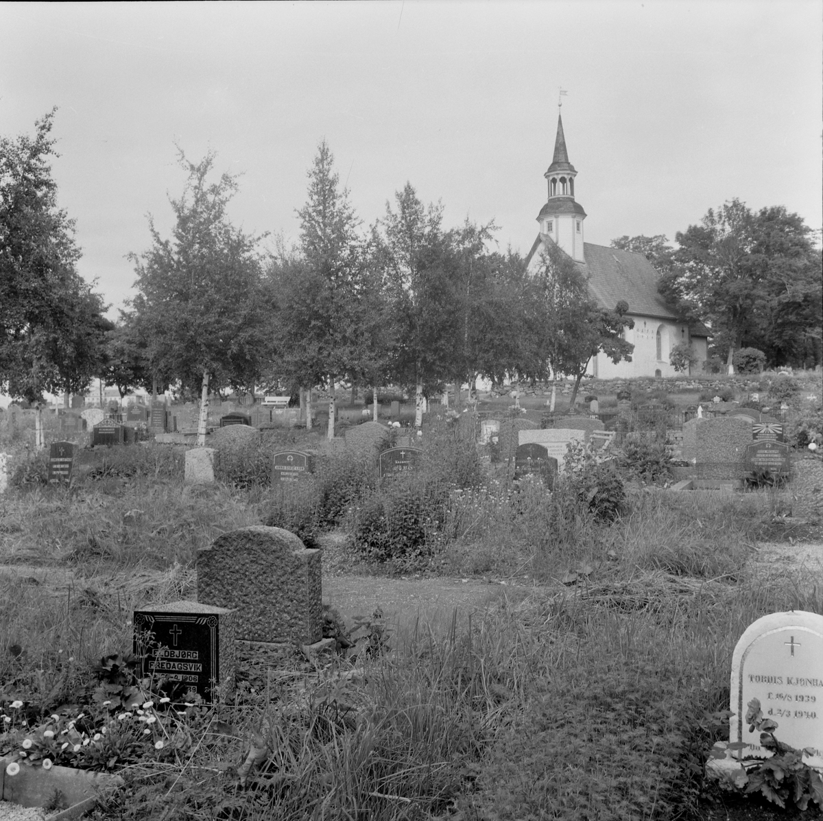 Høyt gress på Lade kirkegård