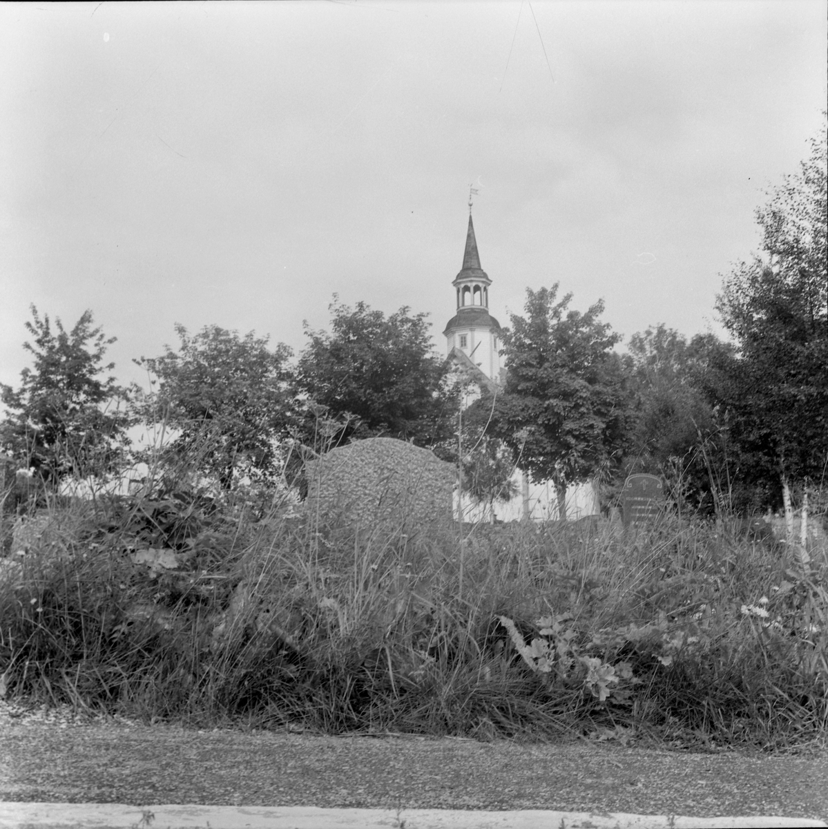 Høyt gress på Lade kirkegård