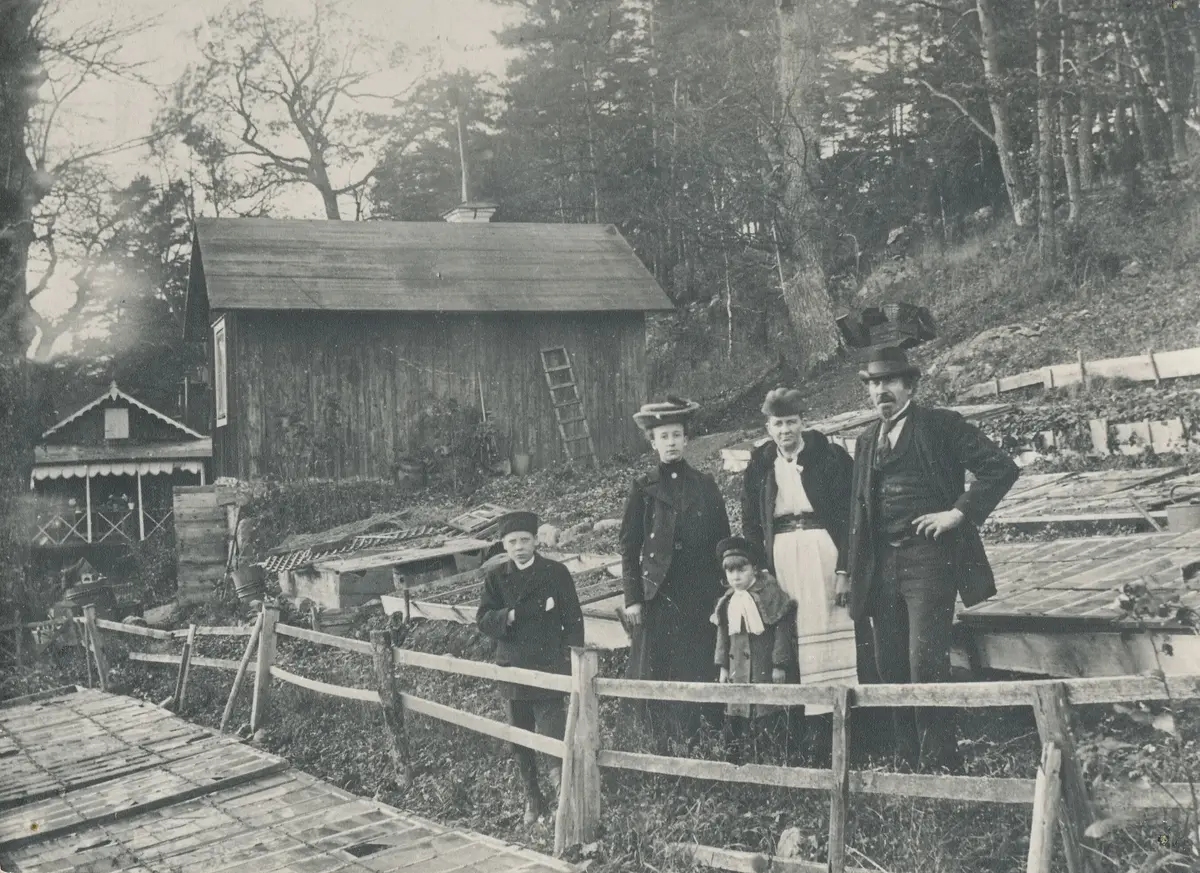 Trädgårdsmästare Karl Johan Lindström med hustrun Albertina och barnen (Edvin till vänster och Margareta i mitten) vid drivbänkarna i den handelsträdgård på Fisksätra holme, som de arrenderade. Foto ca 1905. 