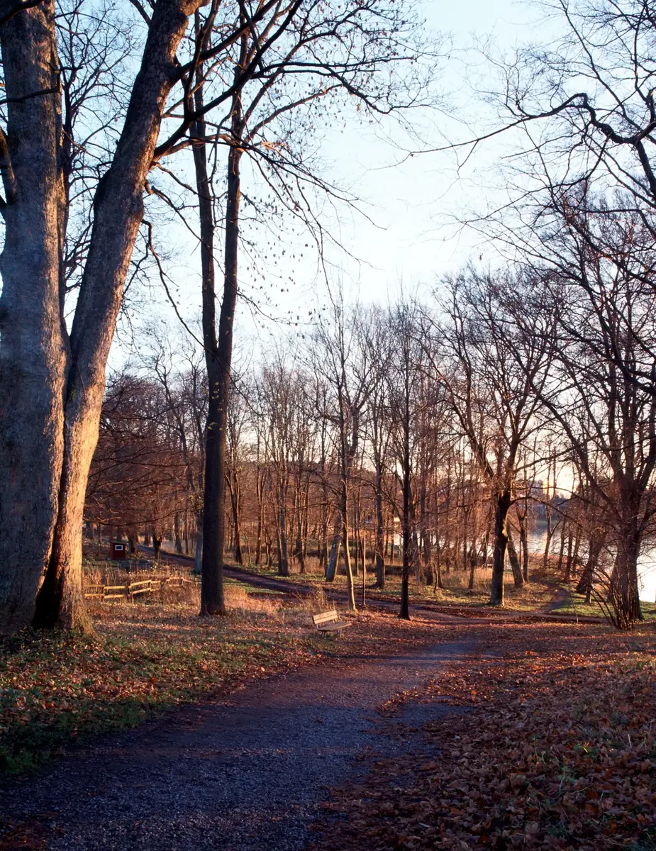 Parken nedanför Krongården.