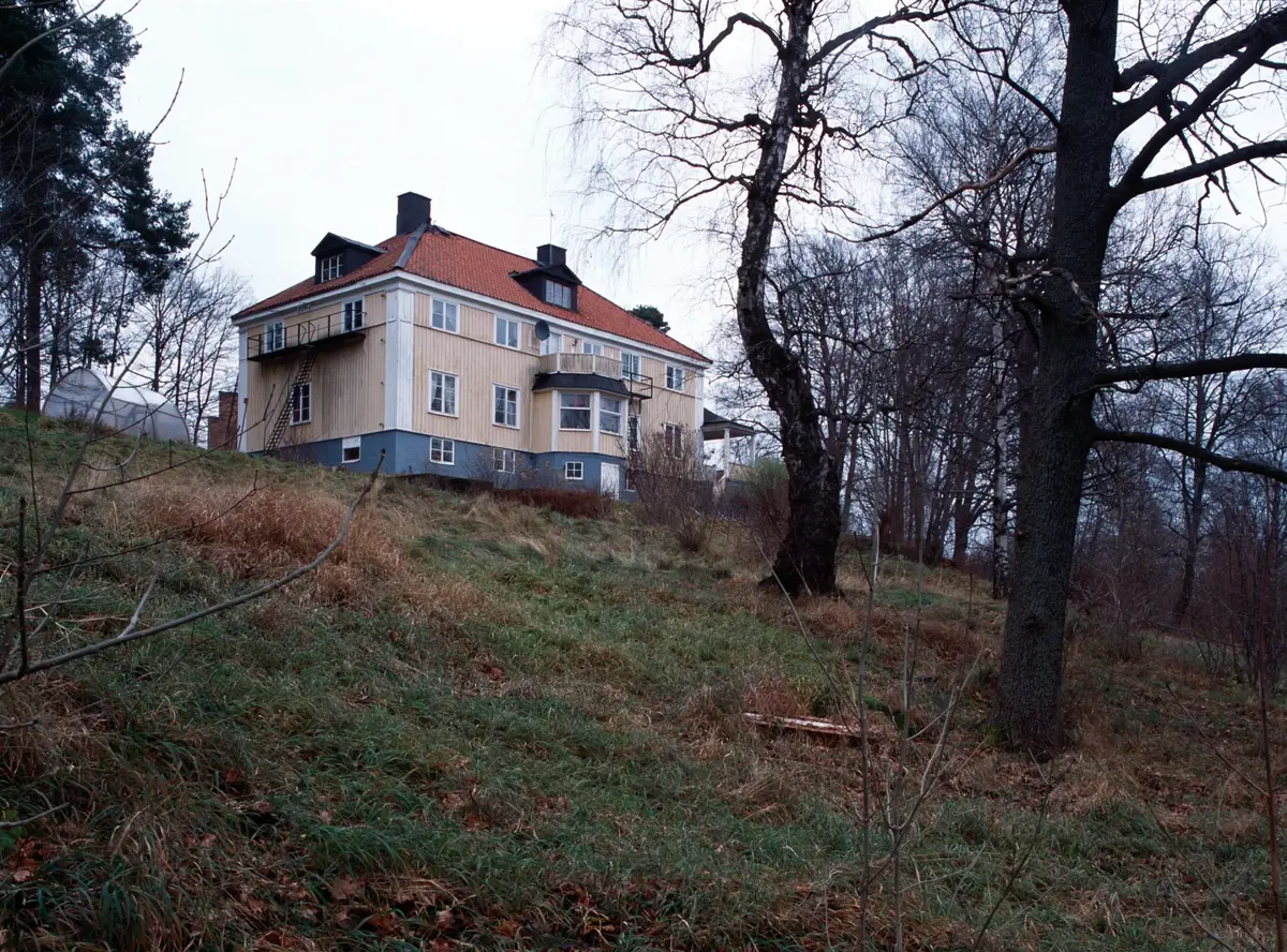 I parken nedanför Krongården ligger två 1920-tals villor.