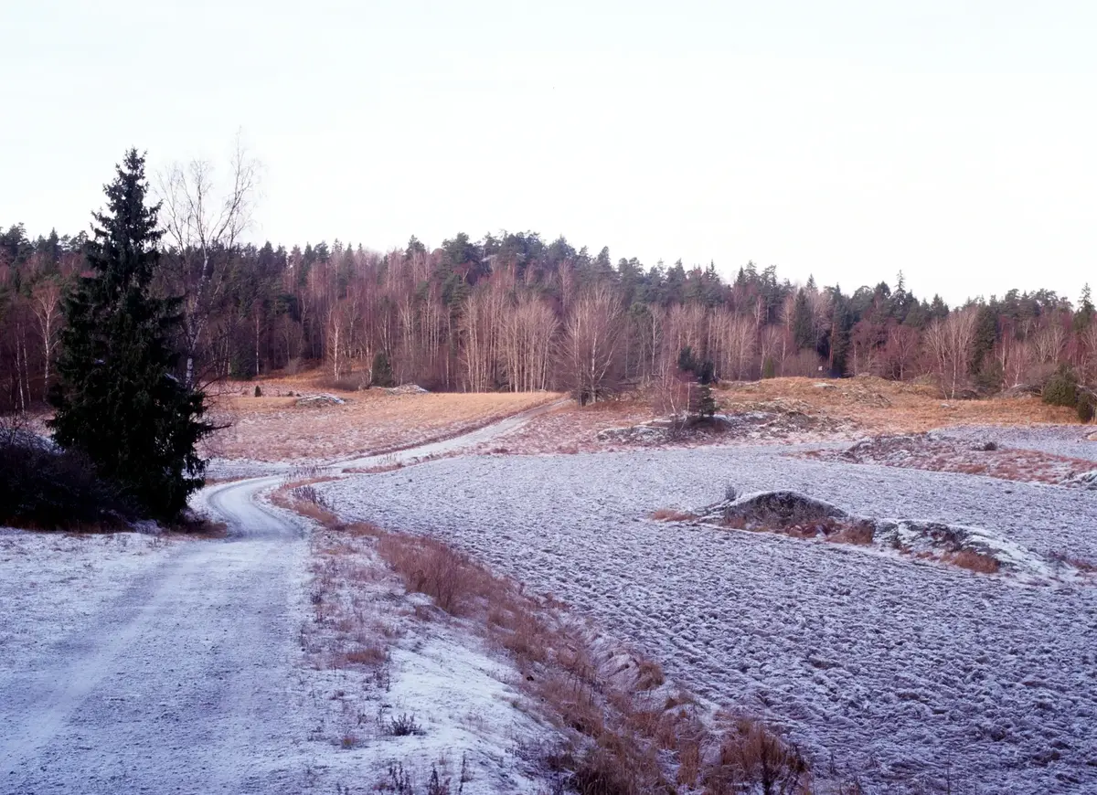 Åkermark som omgärdar den gamla bytomten på Stensättra gård.