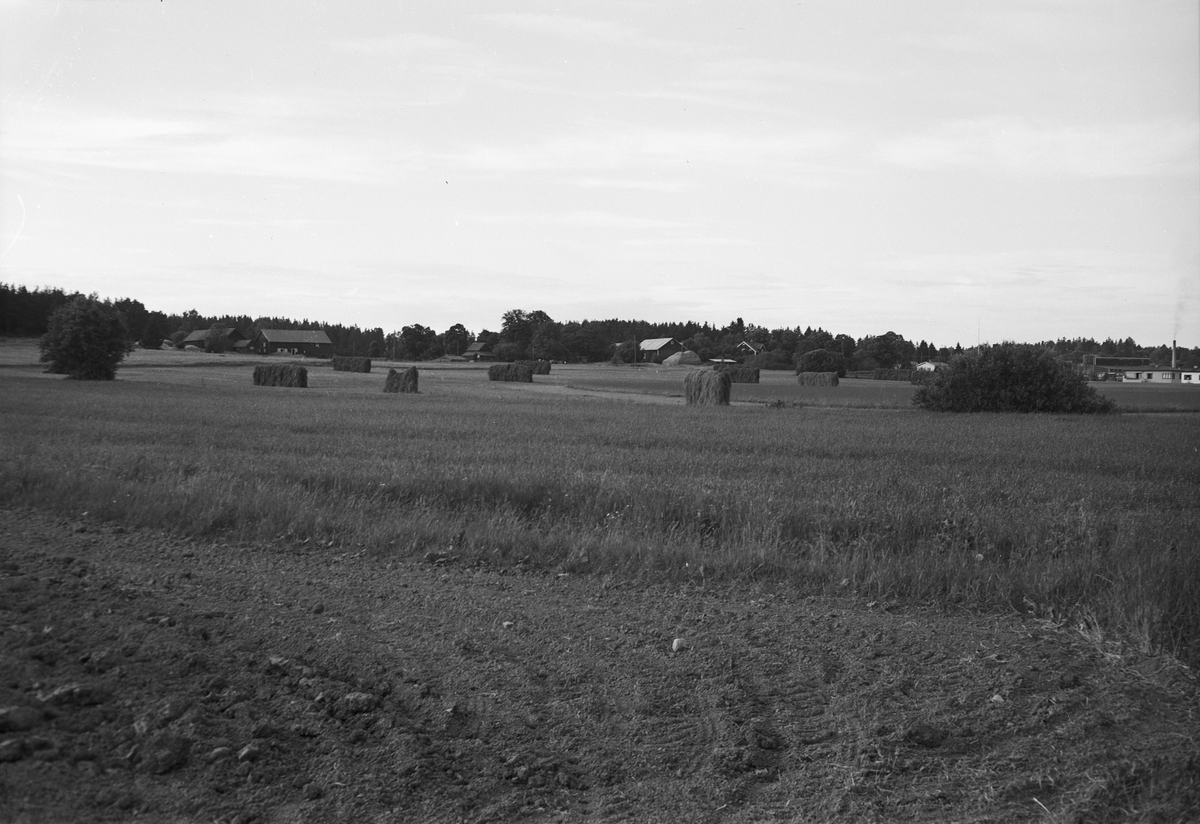 Knivsta storkommun 1951