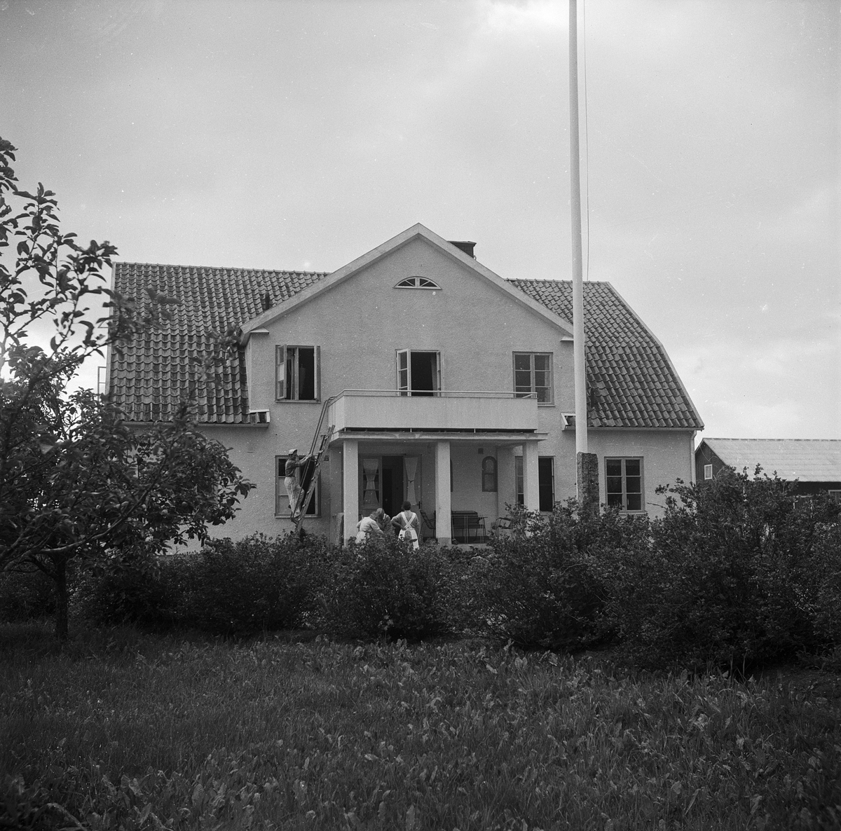 Byggnad, Börstil, Uppland 1951