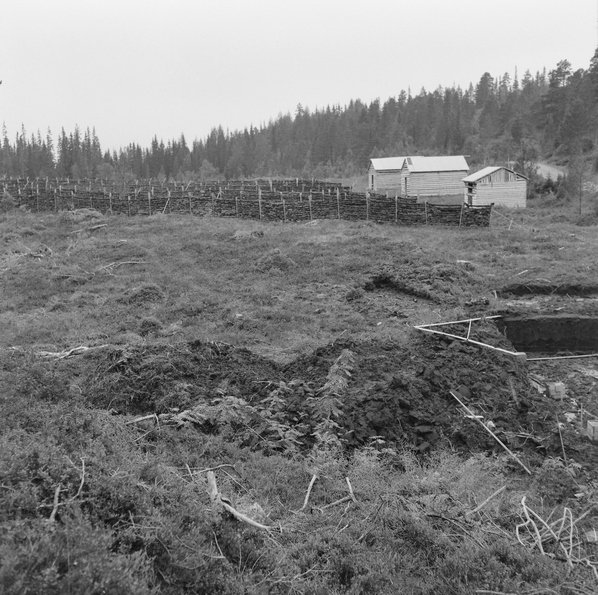 Veien mellom Gjervan ved Jonsvatnet og Eggen i Mostadmarka