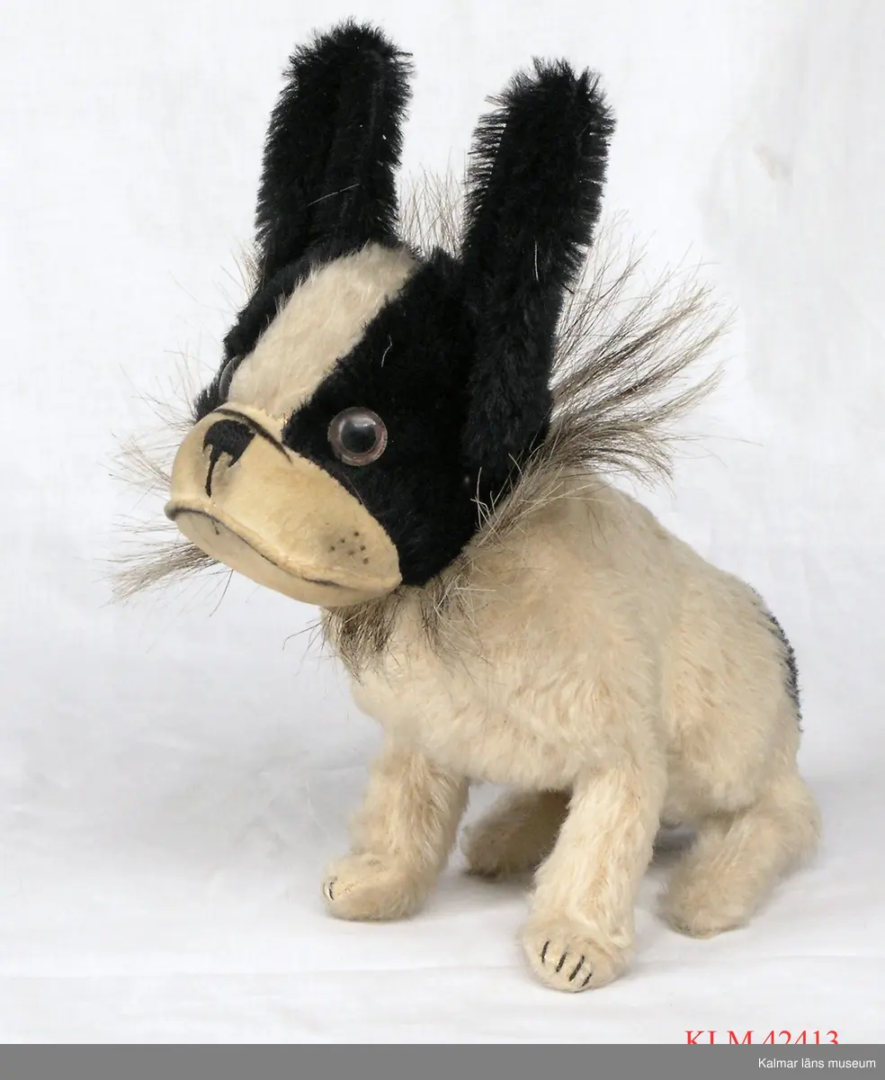 KLM 42413 Hund, leksak, textil. Bulldogg, vit kropp, svart och vitt huvud med svarta upprättstående öron, kort lugg, utstående styva strån runt halsen, pingla under hakan. 1920-tal.