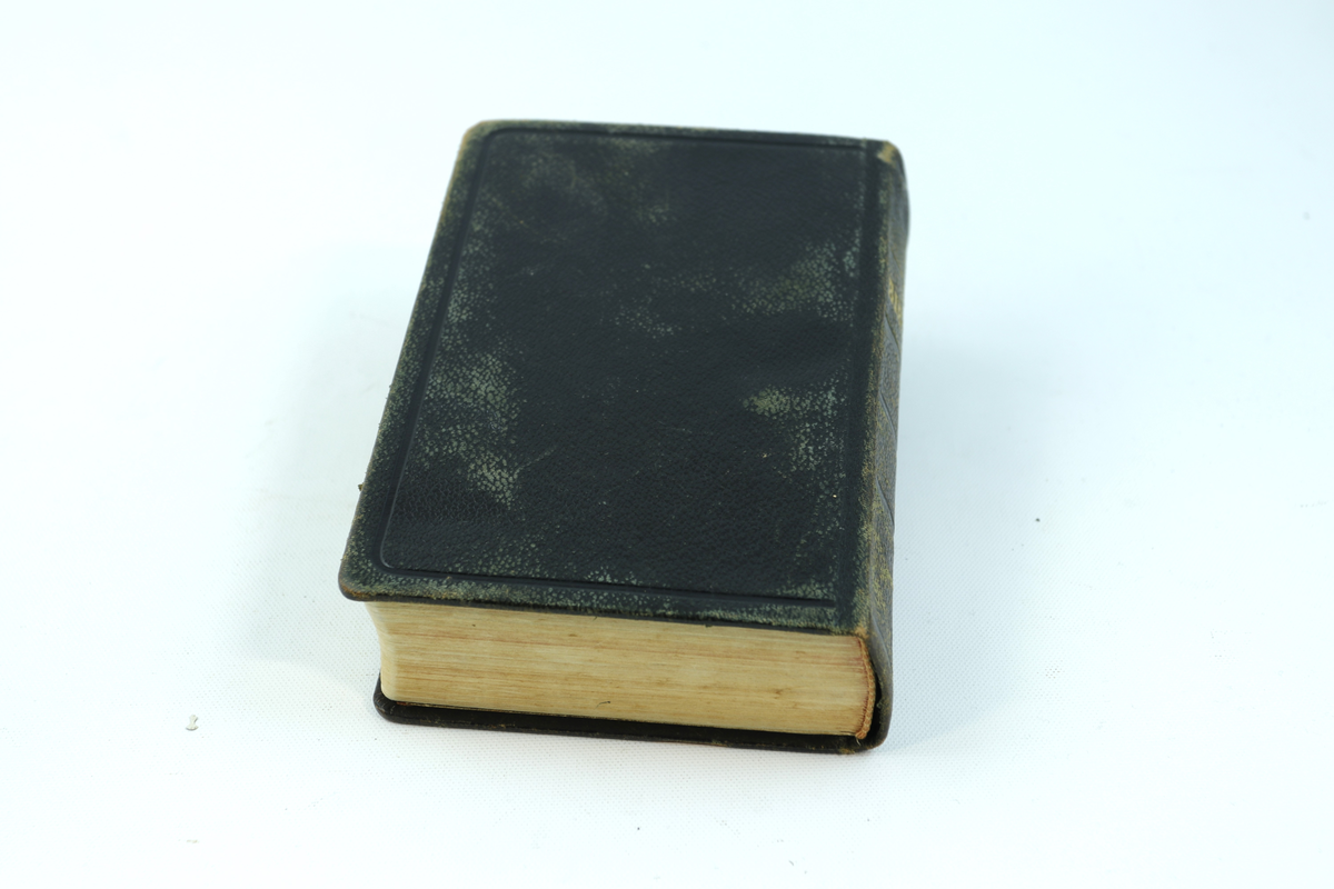 Bibel innbundet i brunt skinn, med gullbokstaver på forsiden og på bokryggen. Innlimt side på innsiden av permen med tekst av joh. 3.16 på flere språk.