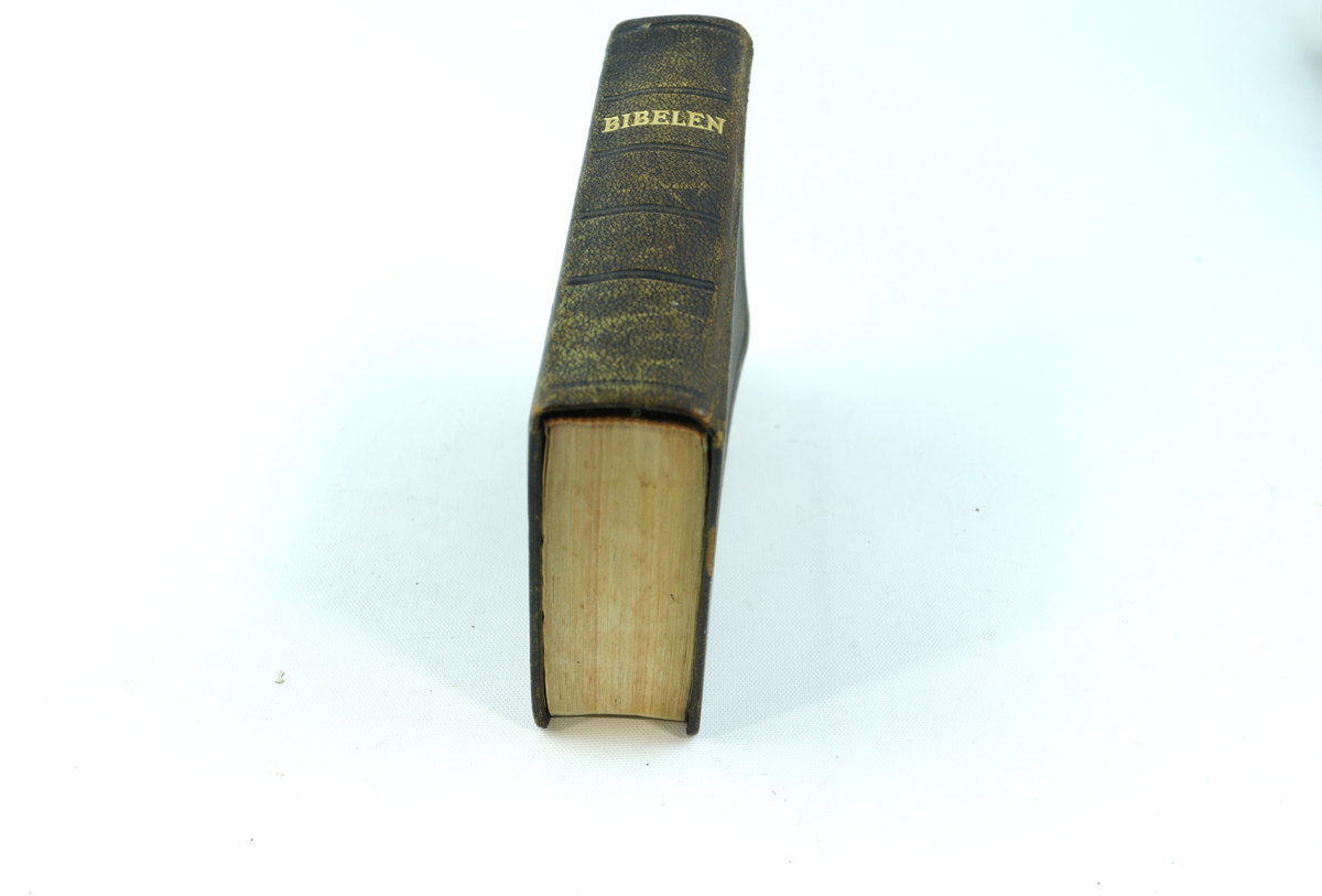 Bibel innbundet i brunt skinn, med gullbokstaver på forsiden og på bokryggen. Innlimt side på innsiden av permen med tekst av joh. 3.16 på flere språk.