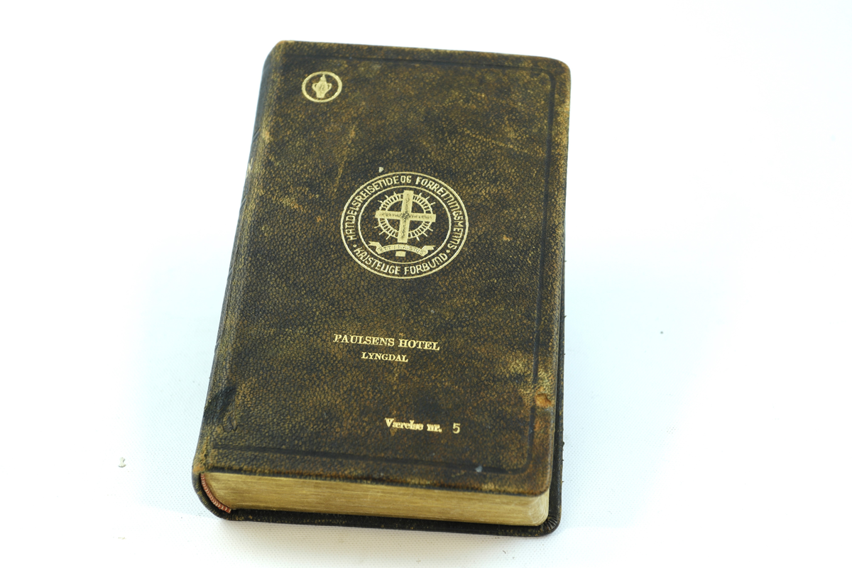 Bibel innbundet i brundt skinn. Trykte gullbokstaver på forsiden og på bokryggen. Gullbelagte sider i boken.
