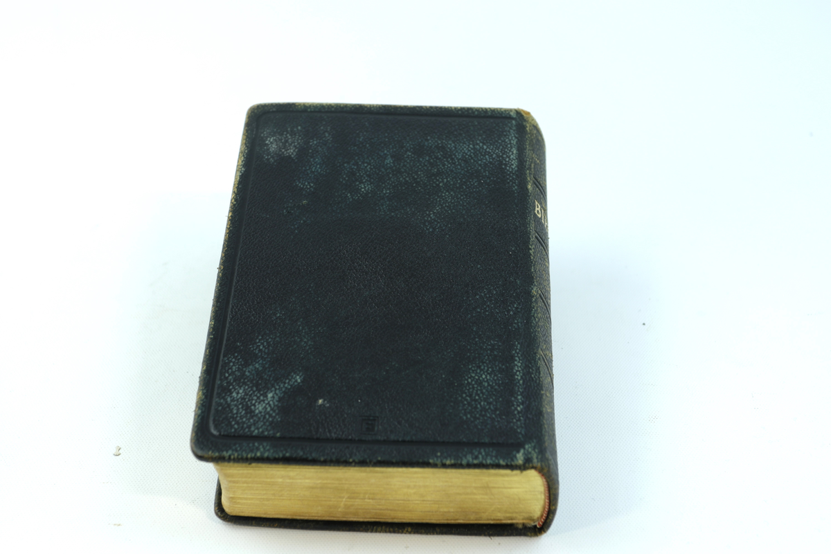 Bibel innbundet i brundt skinn. Trykte gullbokstaver på forsiden og på bokryggen. Gullbelagte sider i boken.