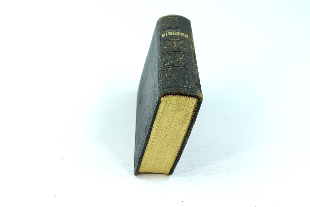 Bibel innbundet i brundt skinn. Trykte gullbokstaver på forsiden og på bokryggen. Gullbelagte sider i boken.