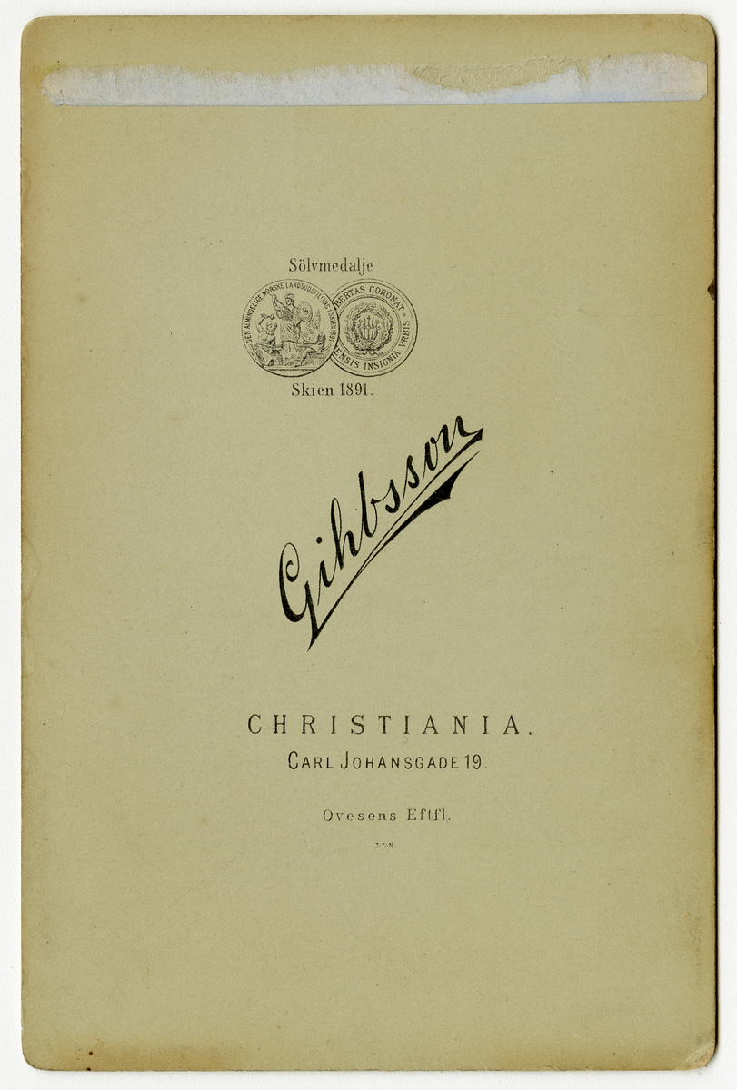 Portrett av familie.

Påskrift: Gihbson Christiania. 

Påskrift bak: Sølvmedalje. Skien 1891. Gihbsson. Christiania. Carl Johansgate 19. Ovesems Eftfl. J.L.N

Påskrift på lapp som lå i album: Thommesen