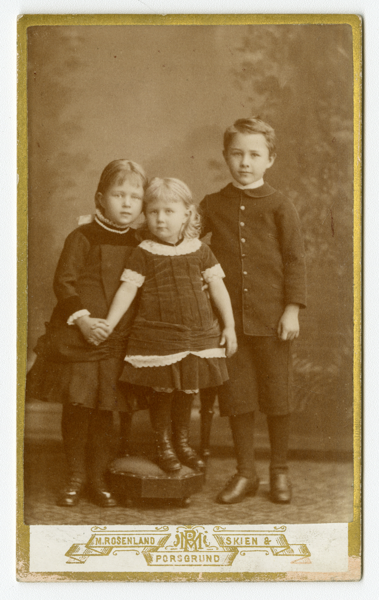 Portrett av søsken, ca. 1880-tallet

Påskrift: M. Rosenland. Skien & Porsgrund. 

Påskrift bak: Fotografisk Atelier. Skien og Porsgrunn. Eneberettiget