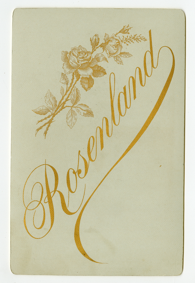 Portrett av familie, ca. 1880-tallet

Påskrift: M. Rosenland. Skien.
Påskrift Bak: Rosenland
