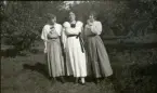 Frida och Greta och Anne-Beate Ehrenborg