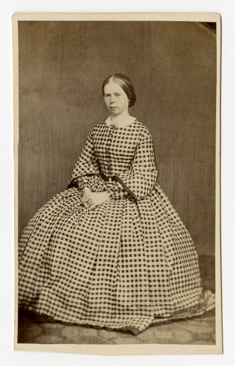 Portrett av kvinne i 1863

Påskrift bak: D. Hamilton. Photographicsches - Atelier. Laurvig.