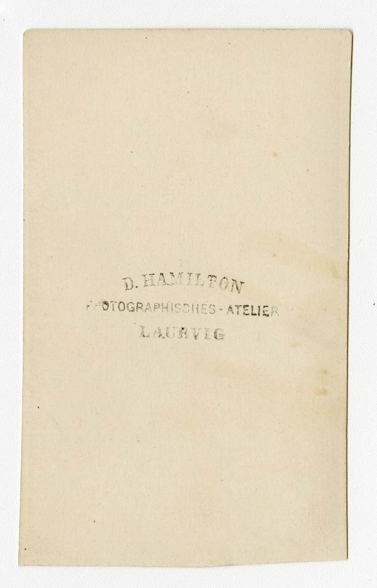 Portrett av kvinne i 1863

Påskrift bak: D. Hamilton. Photographicsches - Atelier. Laurvig.