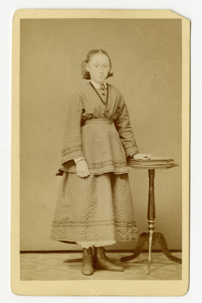 Portrett av jente på 1870-tallet

Påskrift bak: Fotografi af Halfdan Lunde. Hamar.