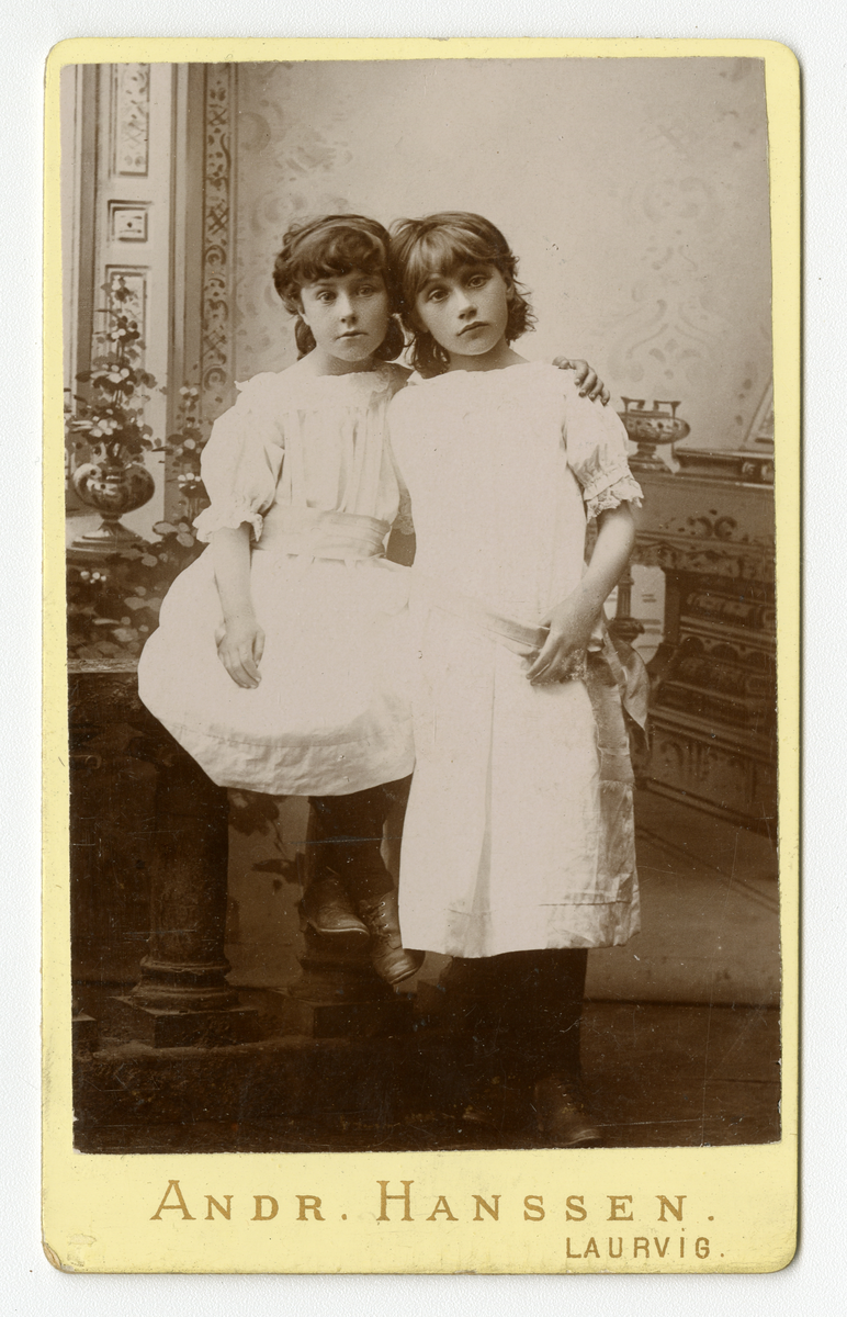 Portrett av to piker, ca. 1880-tallet

Påskrift: Andr. Hanssen. Laurvig.

Påskrift Bak: Andr. Fanssen. Fotografisk Forsetning. Laurvig. Prindsensgade. Pladen opbevares.