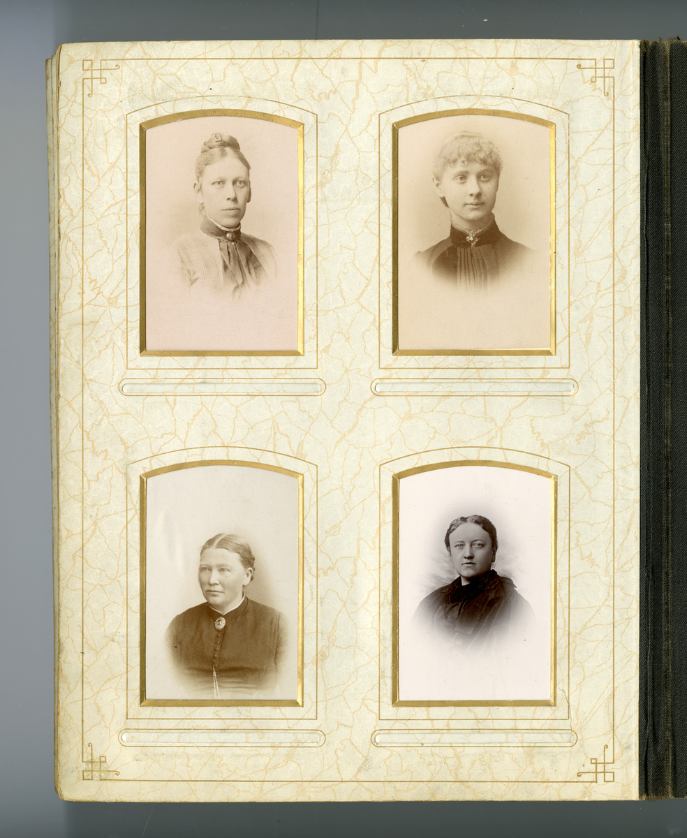 Portrett av kvinne.

Påskrift: M. Rosenland. Skien & Porsgrund.
Påskrift Bak: M. Rosenland. Skien & Porsgrund. J.L.Nerlien. Emeret.