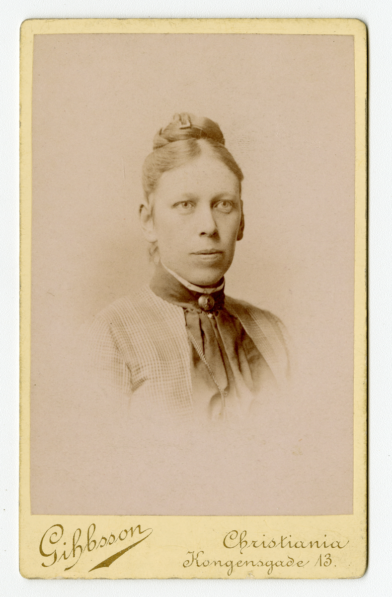 Portrett av kvinne.

Påskrift: Gihbsson. Christiania. Kongensgade 13.
Påskrift Bak: Chr. Gihbsson. Onesens Efterfl. Christiania. Kongensgade 13. Pladen Opbevares.