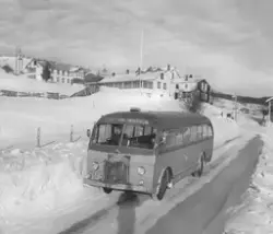 Buss ved Hjerkinn fjellstue