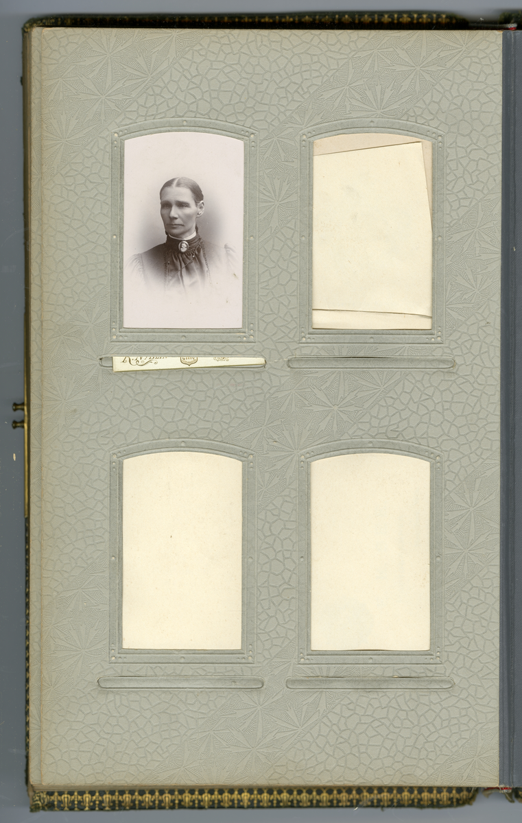 Fotoalbum med familiebilder fra Nyblin familien fra Skien, også Sørensen slekt, enkelte som utvandret til USA

Blant annet foto av Mia, Anna Karoline Olsen, Sørensen, Emanuel Sørensen, Marie Sørensen, Johannes Sørensen, Christian, Ivar, Oscar, Delba, Carl, Constanse

Foto fra fotografer Marie Rosenland, Ragnvald Nyblin, M. Neson (USA), E. A. Engelschiøn, L. Balle, Aug. Haraldsson, L. Bodner, P. F. Feilberg-Hansen, John Nielsen, R. Ovesen, Clara Hollander med mer