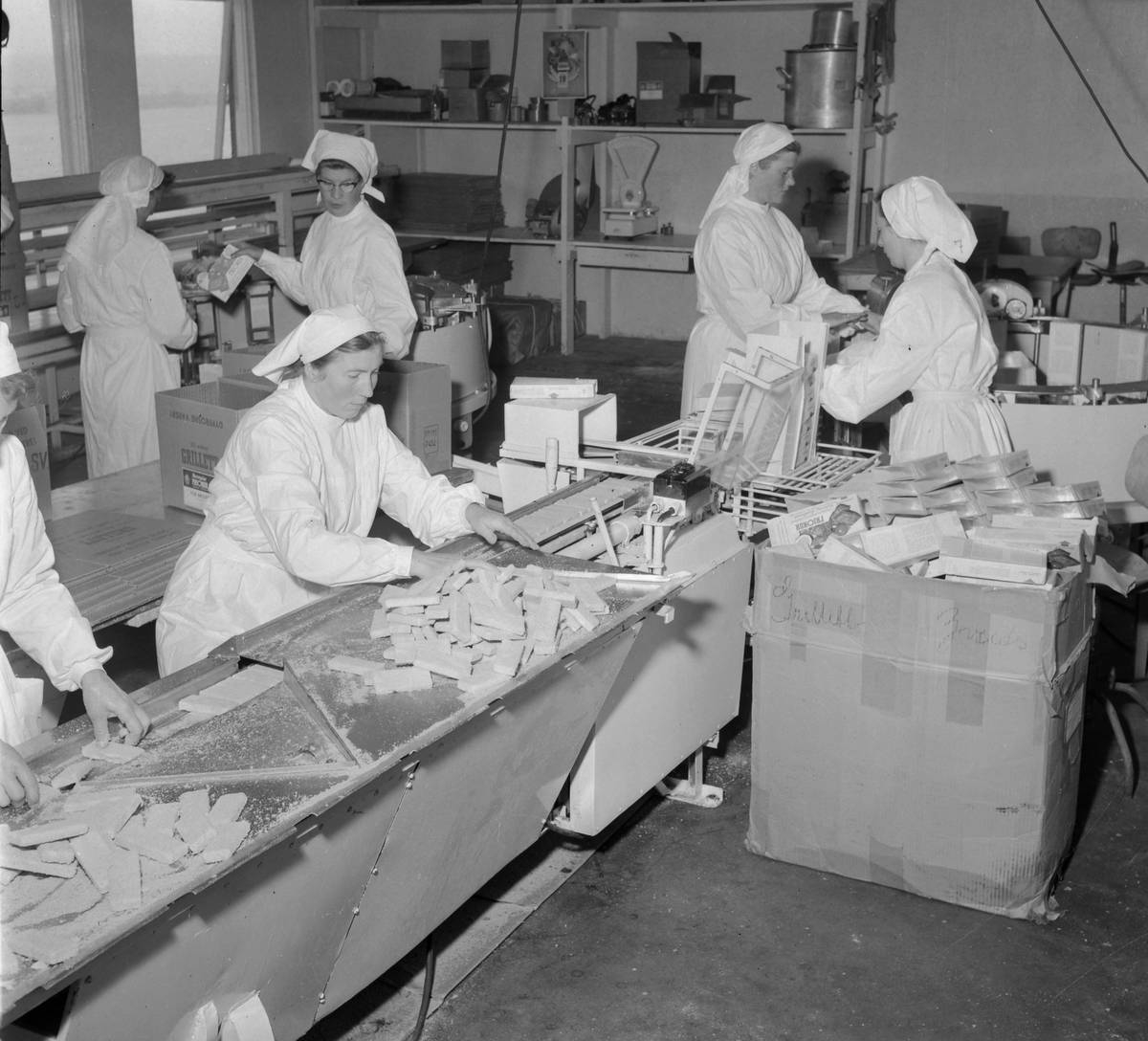 Produksjon av Frionor fiskepinner til Nekolai Dahl