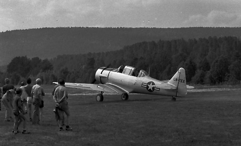 Flystevne. 