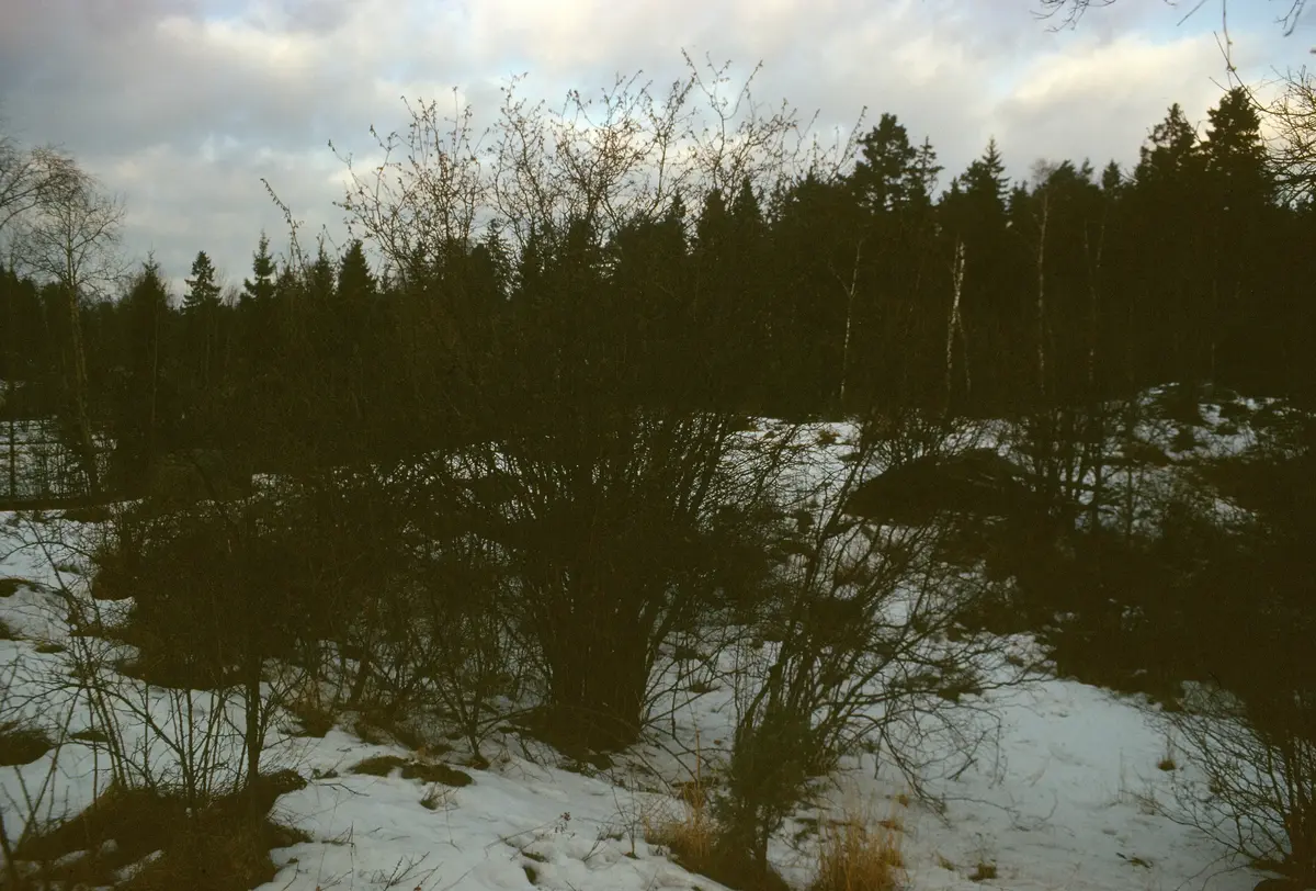 Sollentuna; gravfält S 70  före röjning; södra delen mot norr